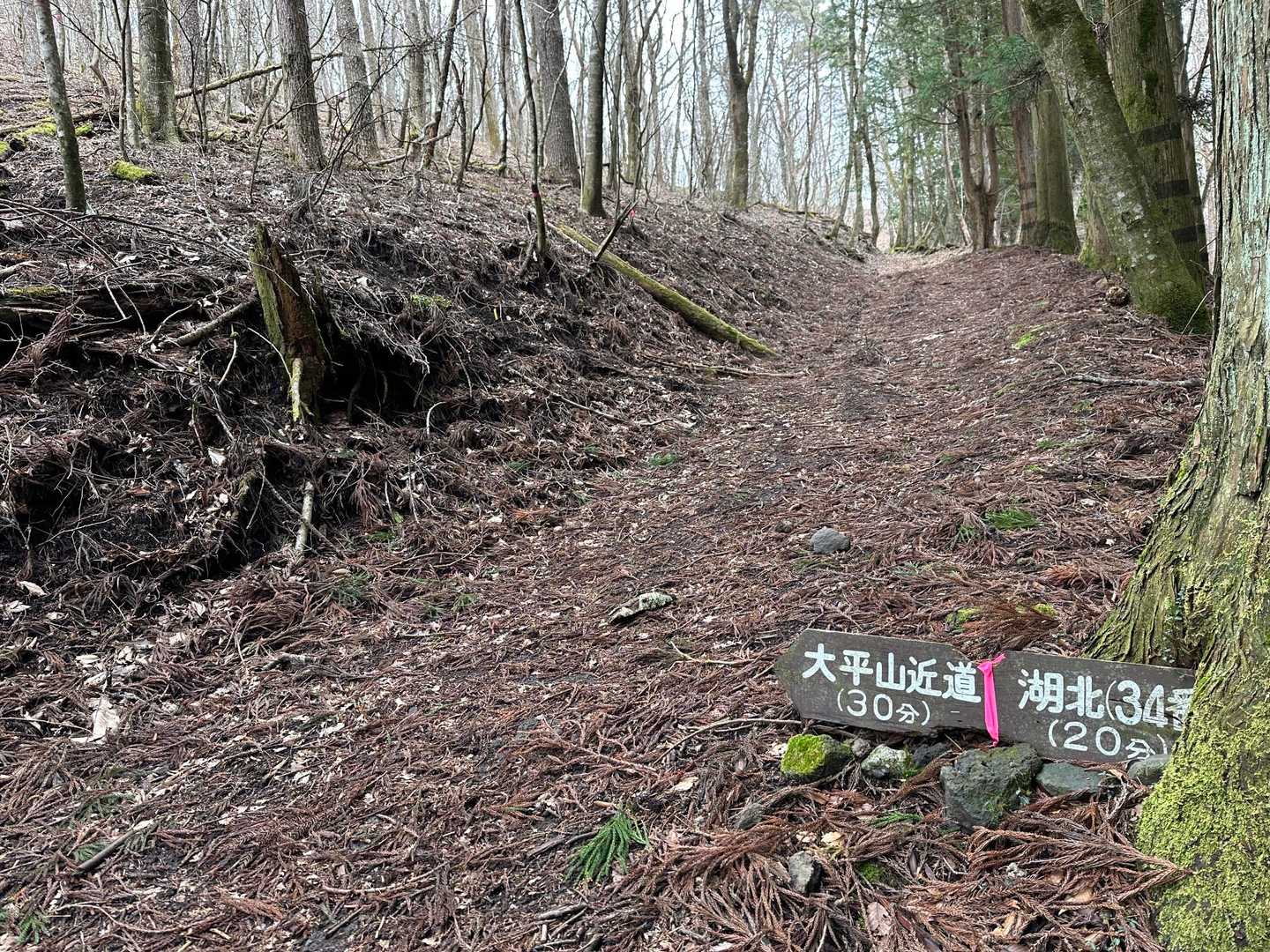 ズルズルしながらもここからは、勿論、大平山近道から行きますよ。