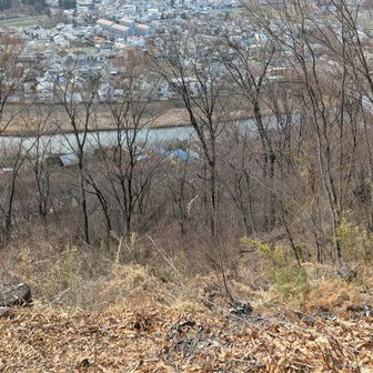 今日は花粉が飛びすぎてない？！🤧🤧🤣