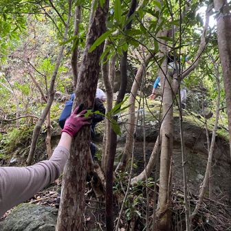 いきなり岩登り