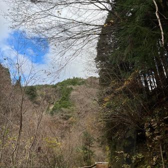 蒼空見えるけどこれに騙されてはダメ！
明神の罠です