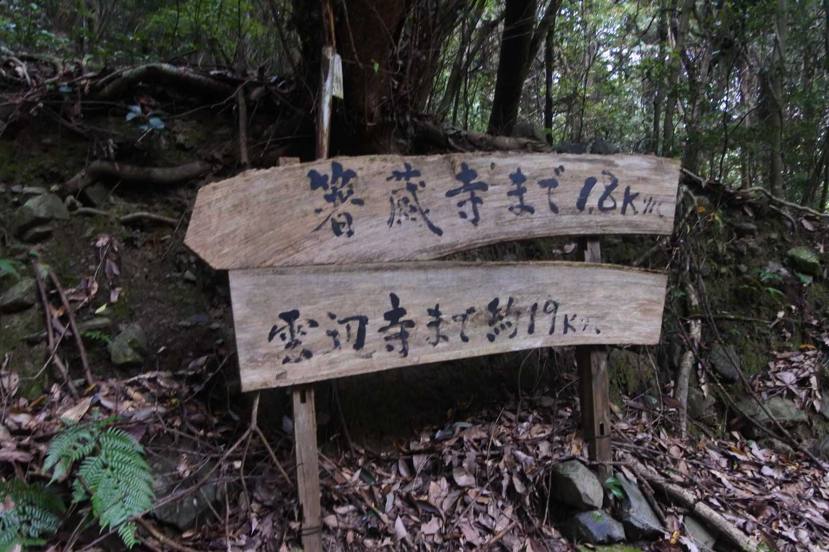 ゴールまであと少しになってきた！