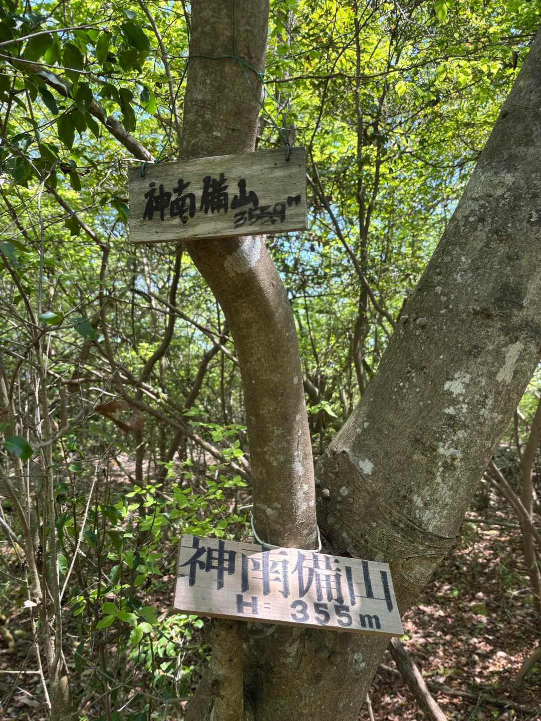 神南備山 往復コースの写真