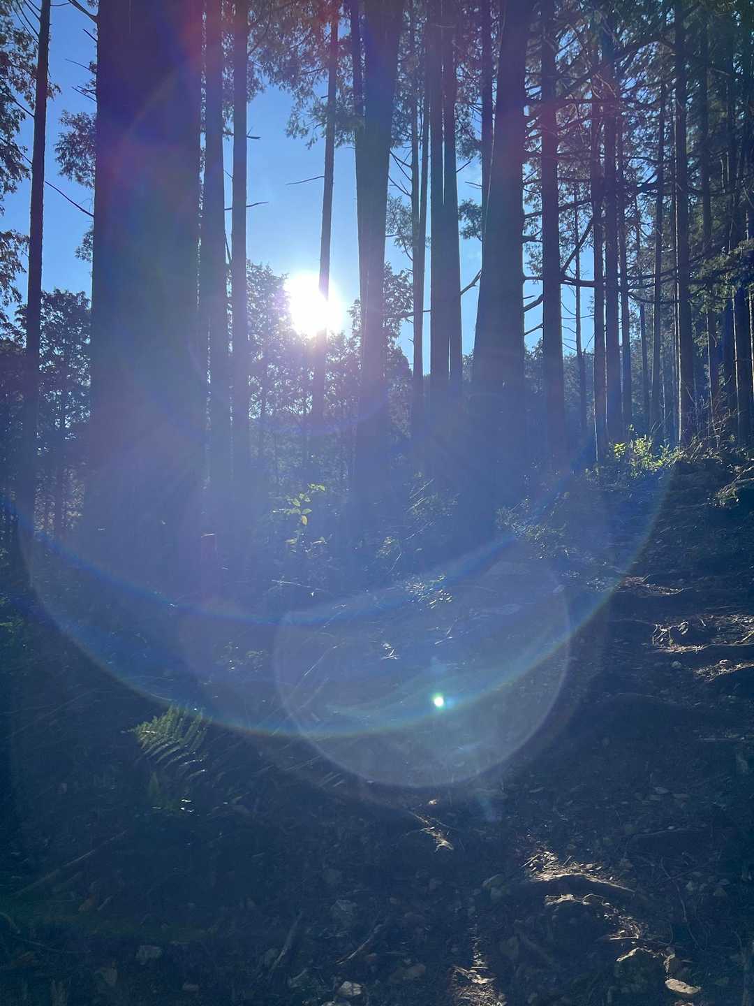 眩しい