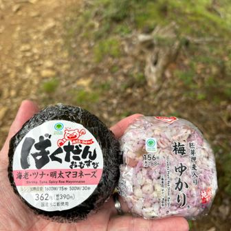 本日のお昼ご飯