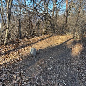 山頂標ないな〜