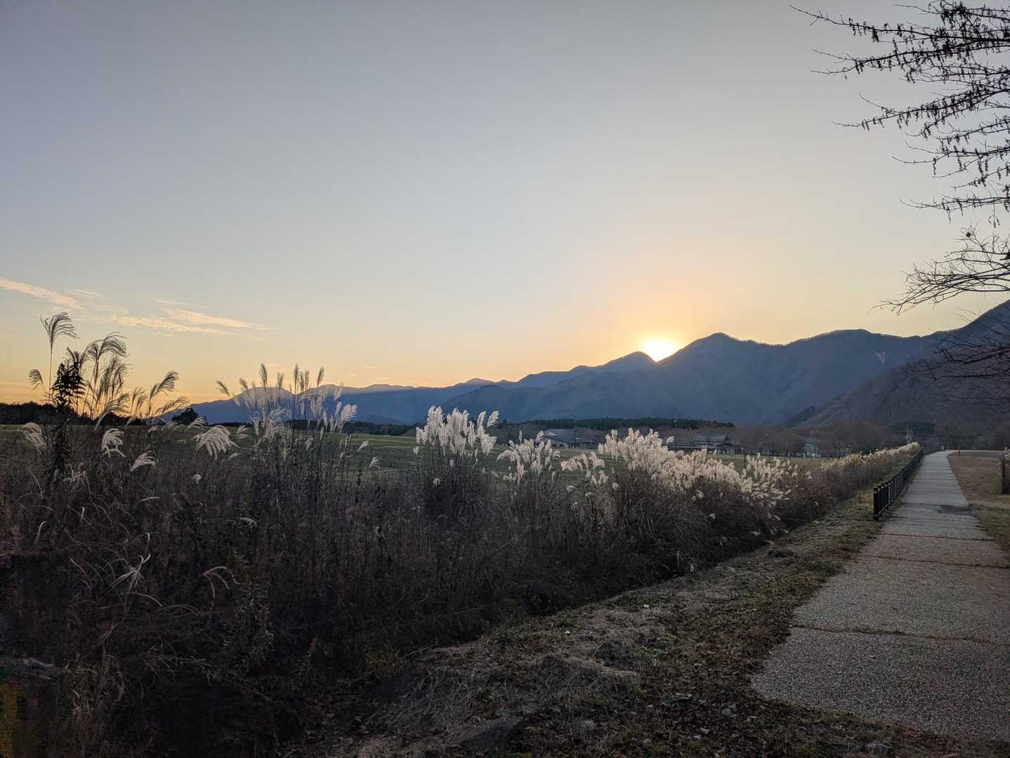 一休山 往復コースの写真