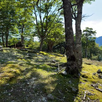 和佐又山頂上⛰️