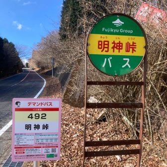 ここまでのバスはデマンドみたい。