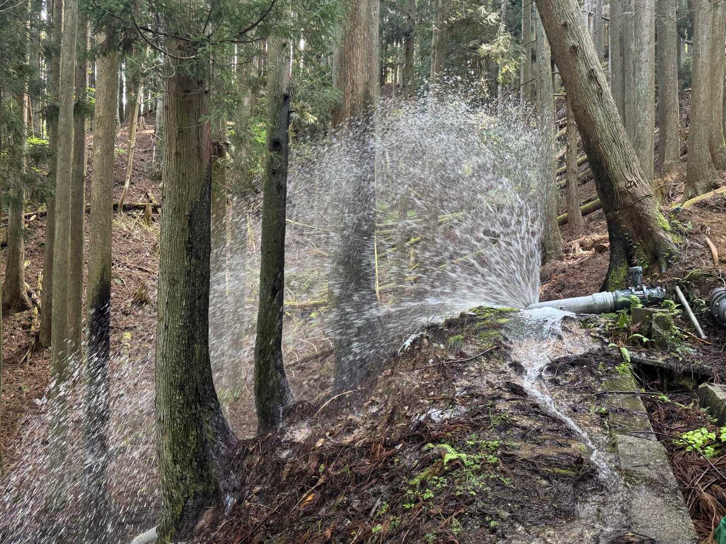 途中で吹き出してました😆
さっきのヘンな滝はこの噴水の下流です😆