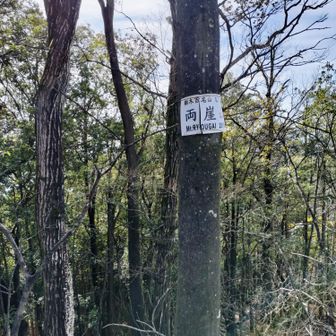 紫山ピークからすぐに両崖山。ここは足利城の跡だそうな　