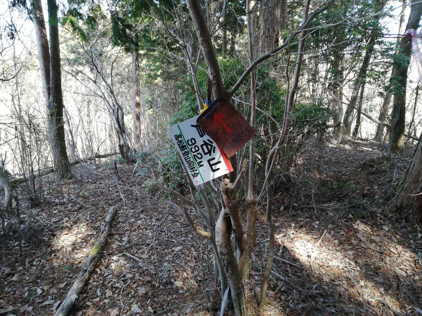 芦谷山に到着