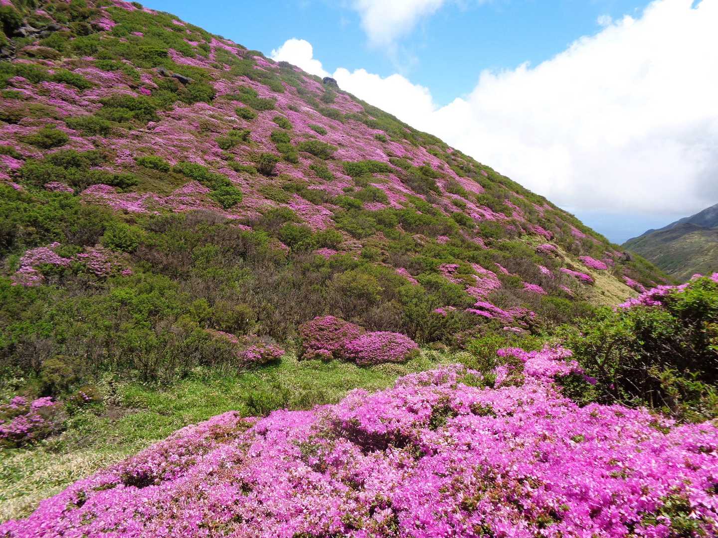 折角なのでⅣ峰まで行ってみます。