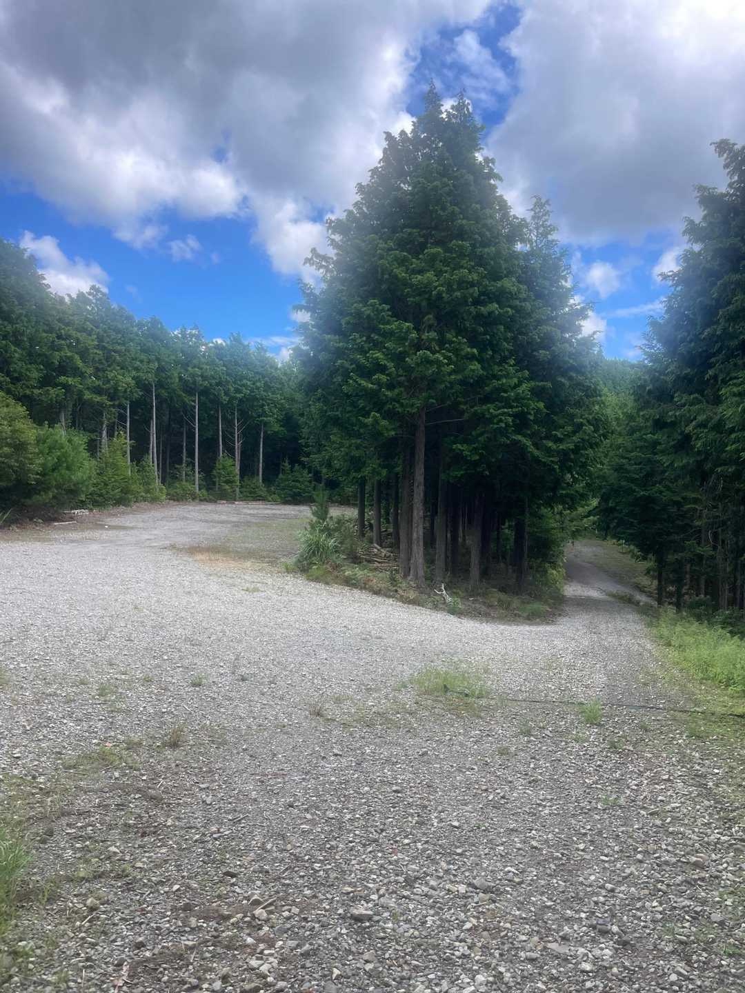 雨山登山口-雨山山-屋床峰-馬の背平-本宮山 周回コースの写真