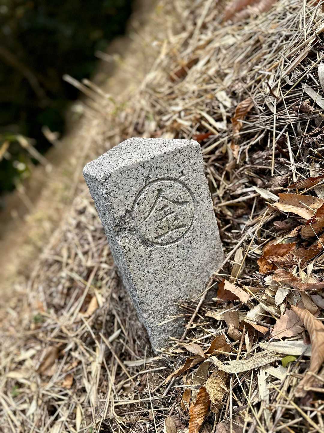 大麻山-象頭山 周回コースの写真