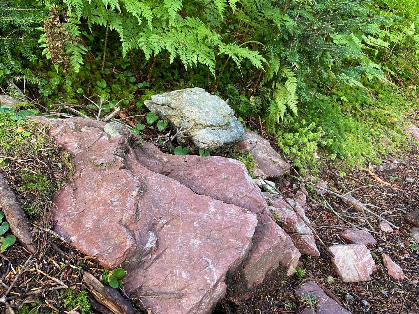 ここは赤石山脈。
赤石がたくさん。赤石山脈全部海底から隆起しているって。
気の遠くなるような地球の歴史の中に入らせてもらうって奇跡。