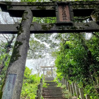 ダブルの鳥居⛩️

ここを登れば…