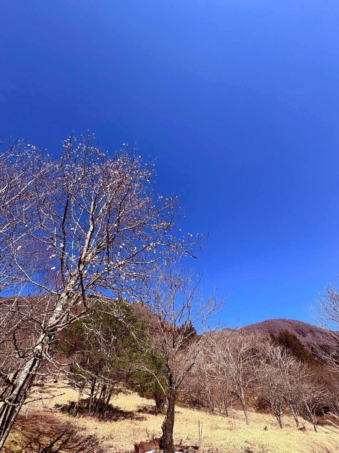 日暮山 往復コースの写真