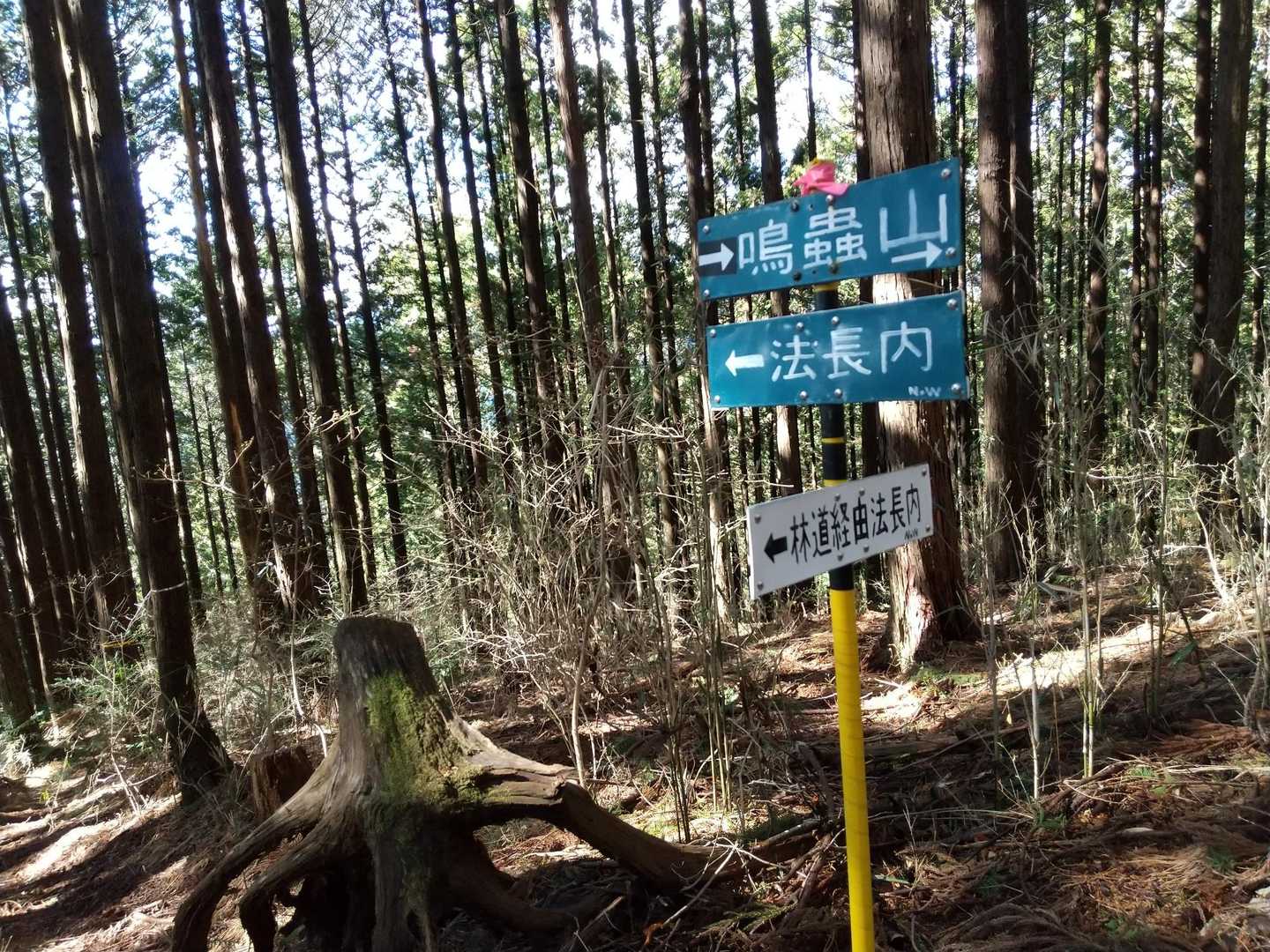 鳴蟲山 往復コースの写真