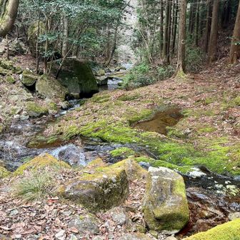 下りで見る流れも良い感じ✨