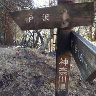 ここで思い切って戸沢へGo！