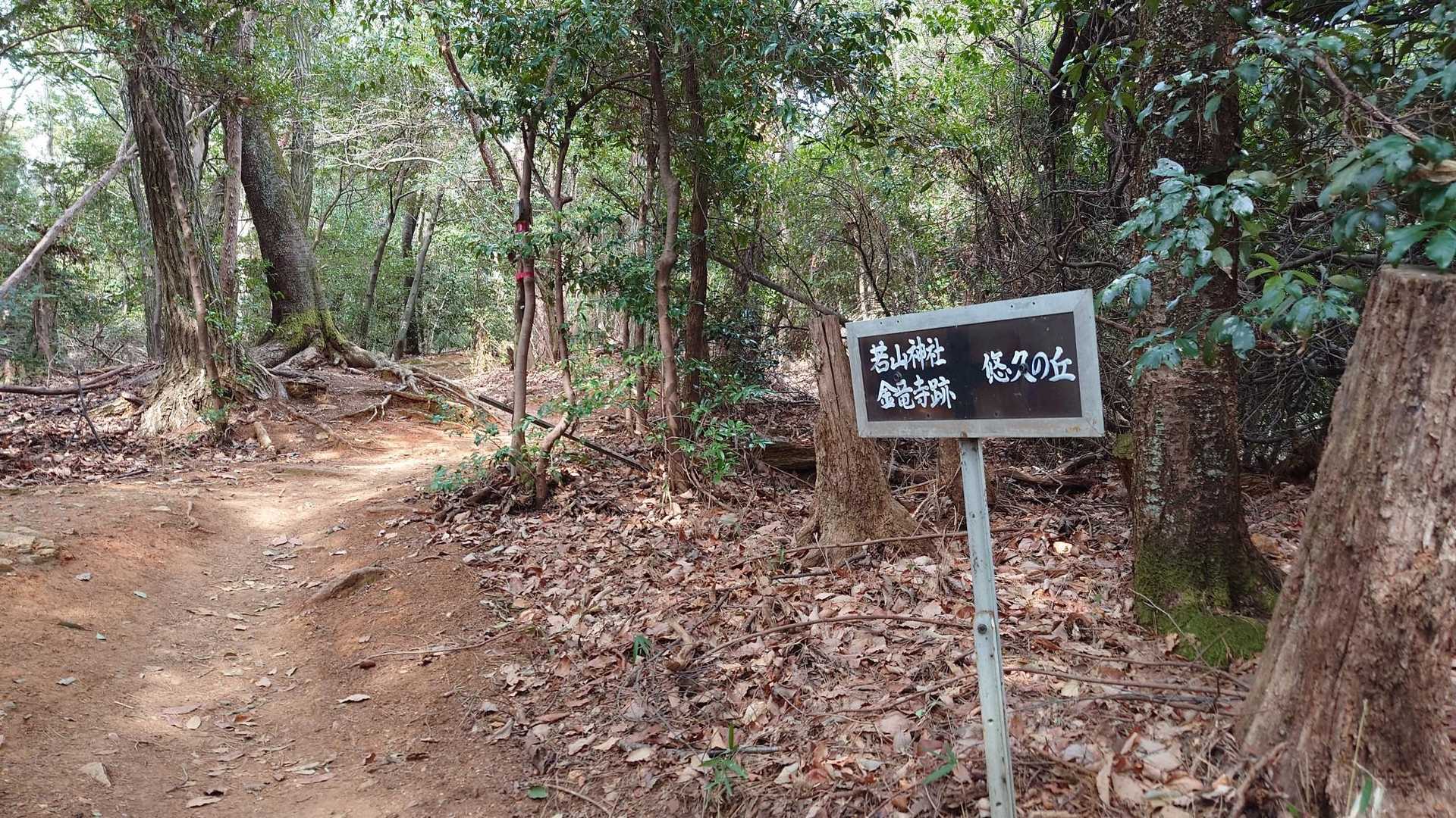 若山神社目指して登って行きます🧑‍🦯🧑‍🦯