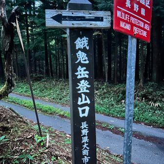 朝の5:30出発