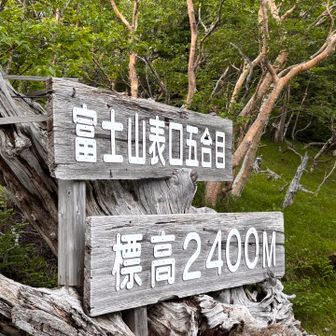 五合目に降りてきました