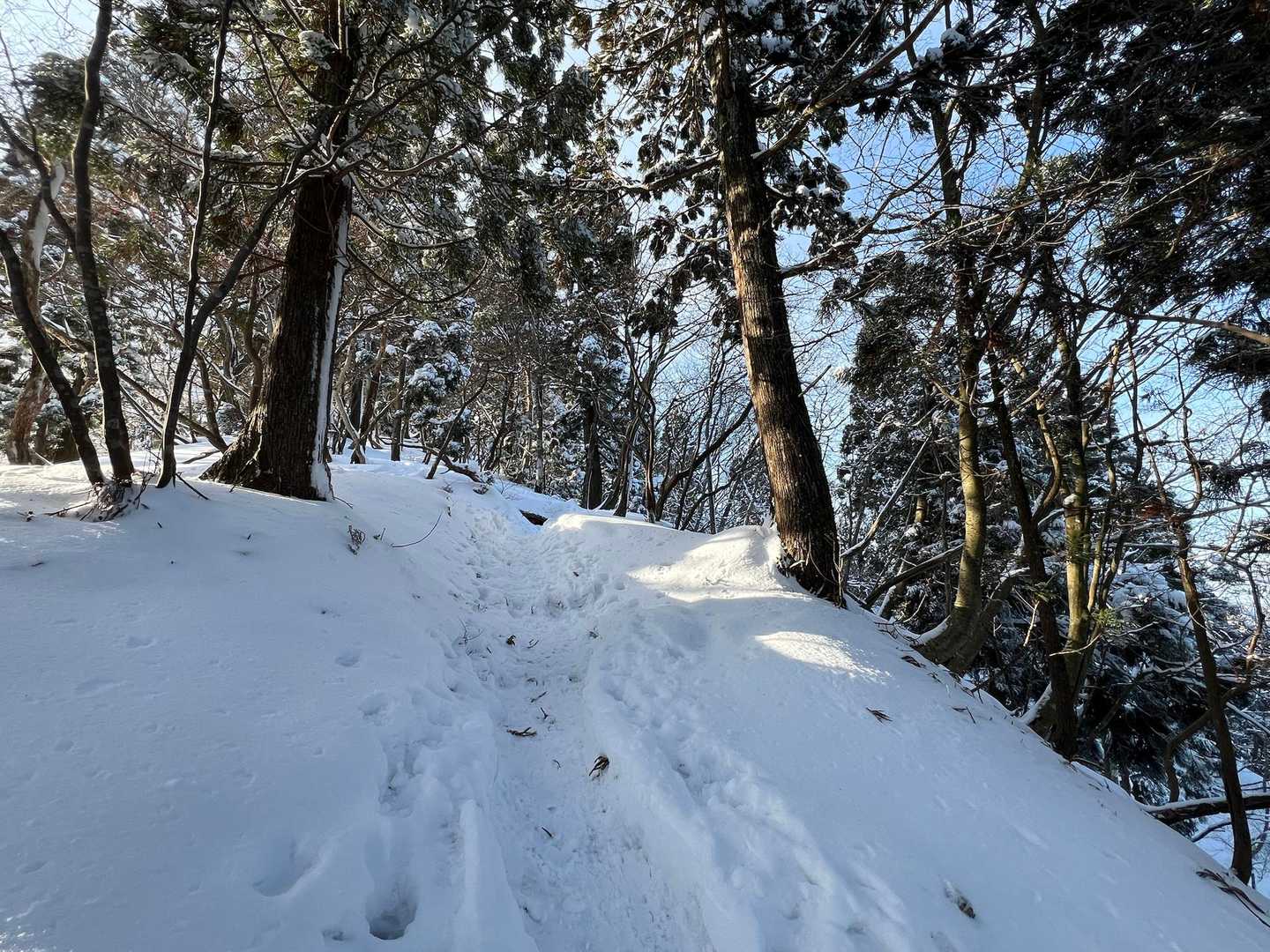 急坂でもチェーンスパイクさえあれば！😆