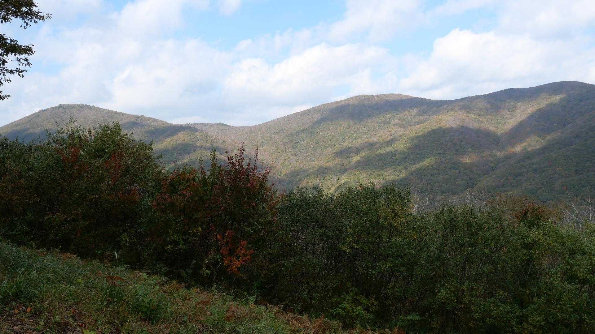 展望園地から正面に、毛無山・伊良谷山・牛曳山

（コーヒー飲みながら休憩してると後から数組の方が）