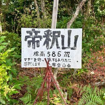 はい来たー
