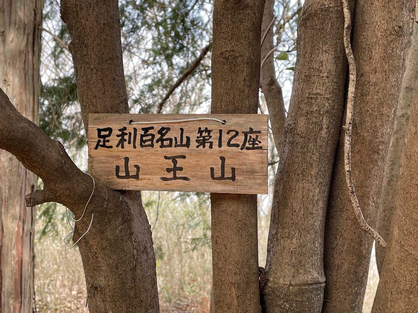 山王山（栃木県）の写真
