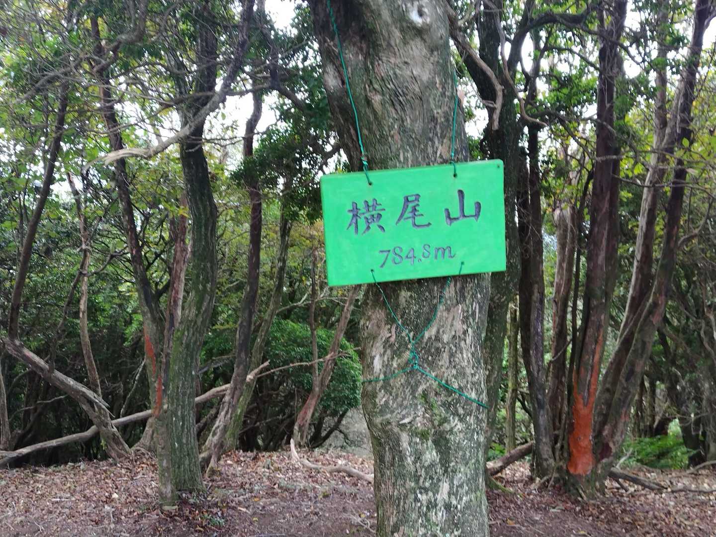 剣尾山・横尾山・行者山 縦走ルートの写真