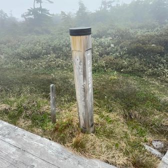 ここか？いや奥か