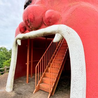 到着です🙌
ガオーとなっています😨