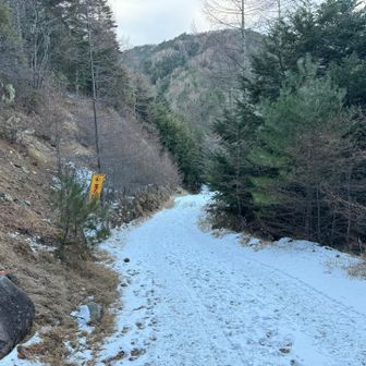 夏沢鉱泉の車2台とすれ違った