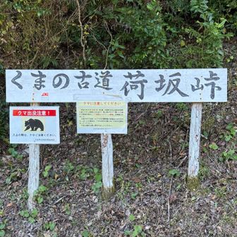 正しく熊の古道ですね🤭