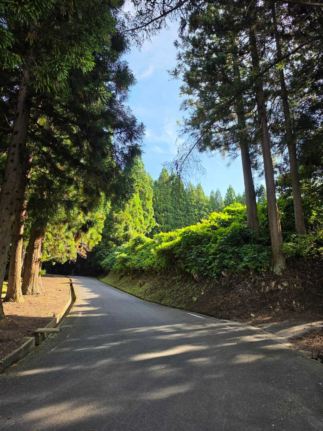 やっぱりお天気の山行きは楽しい🚶
