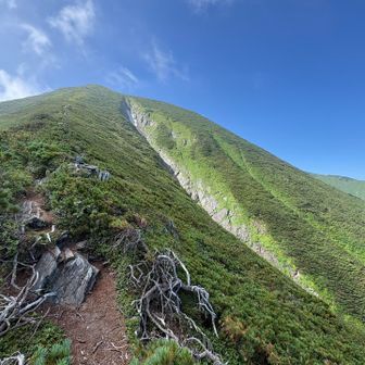 さあ肩まで登りますよ