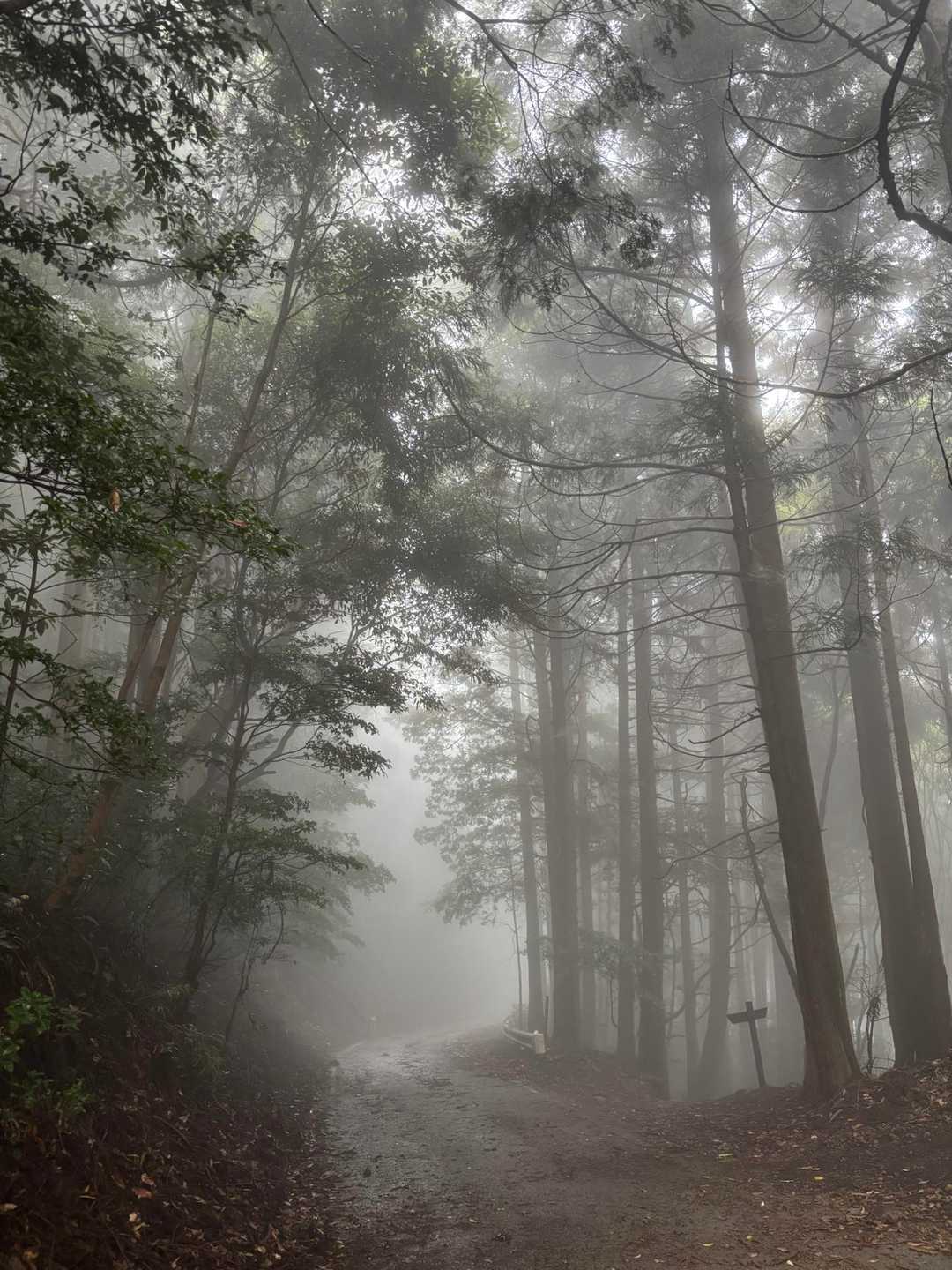 満観峰 往復コースの写真