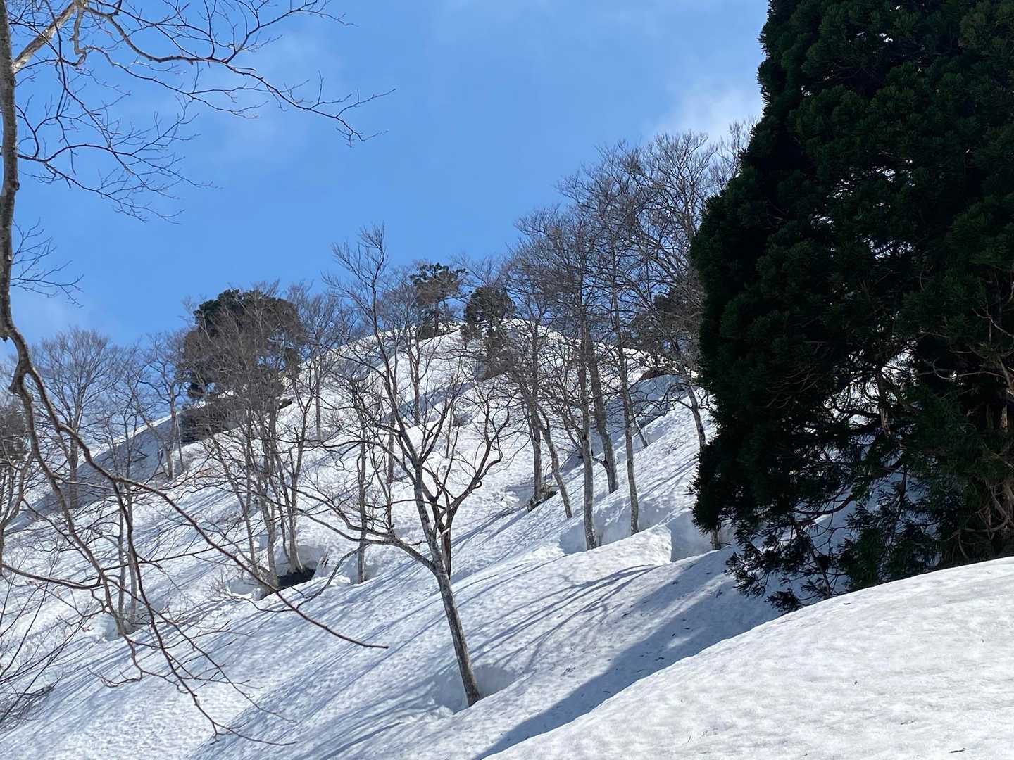 おっ🙄