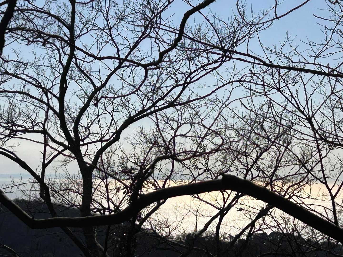 京急長沢駅-三浦富士登山口-富士山-砲台山-武山-武山登山 縦走コースの写真