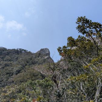 山頂にはランチしている方がいます。