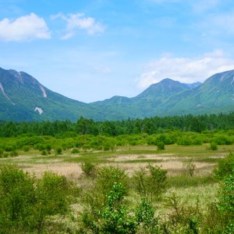 小田代原から太郎山・大真名子山・小真名子山