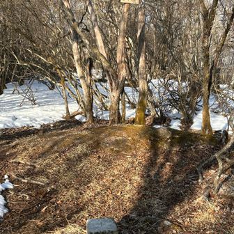 道から外れてちょっとだけ高いところに山頂ある。