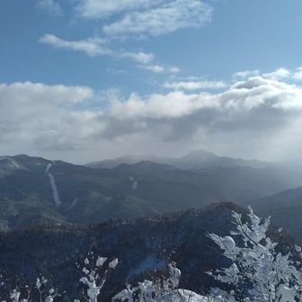 肉眼ではカムエボ、百松沢山がわかったのですが…