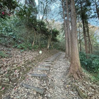 階段が道の半分だけあるスタイル
階段と土の道を選べるのが良い