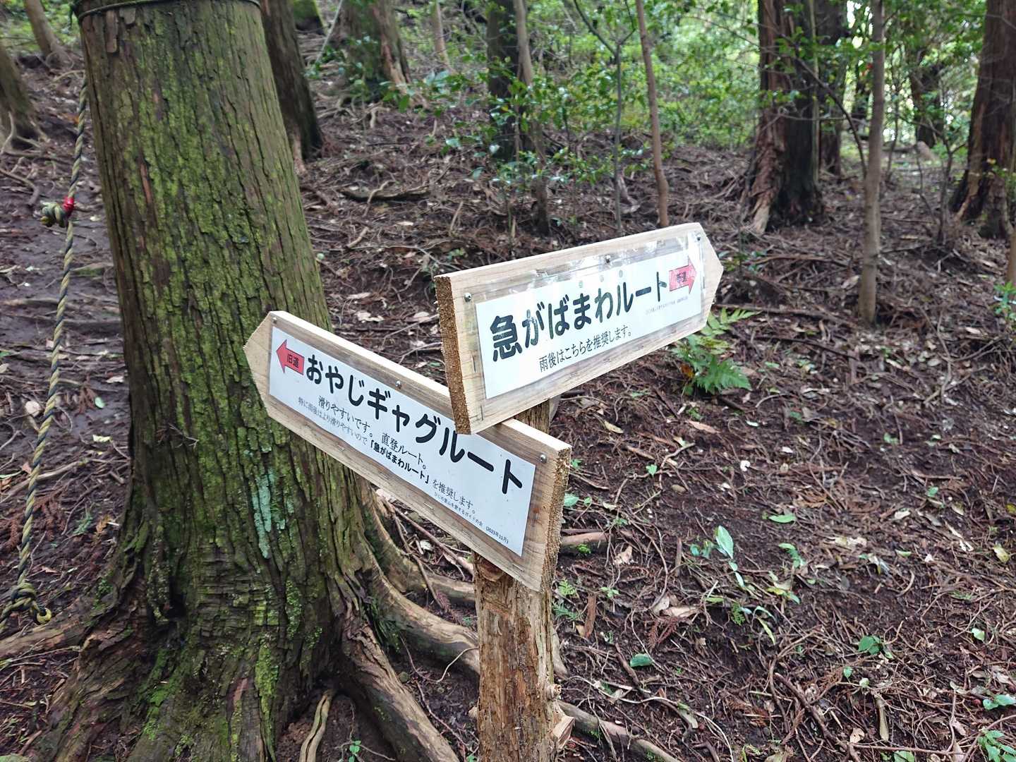 ありがとうございます♪