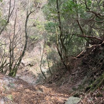 こわ〜い💦ロープ掴んで上がります。