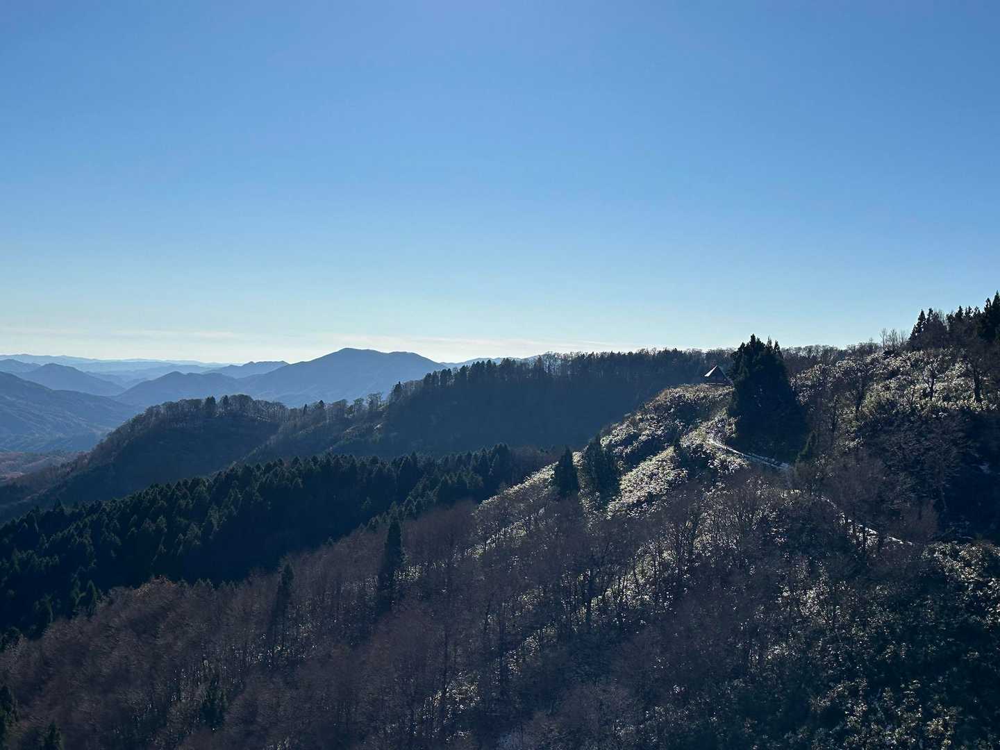 大畝山-御林山-池川山-霧ヶ原-伯州山 縦走コースの写真