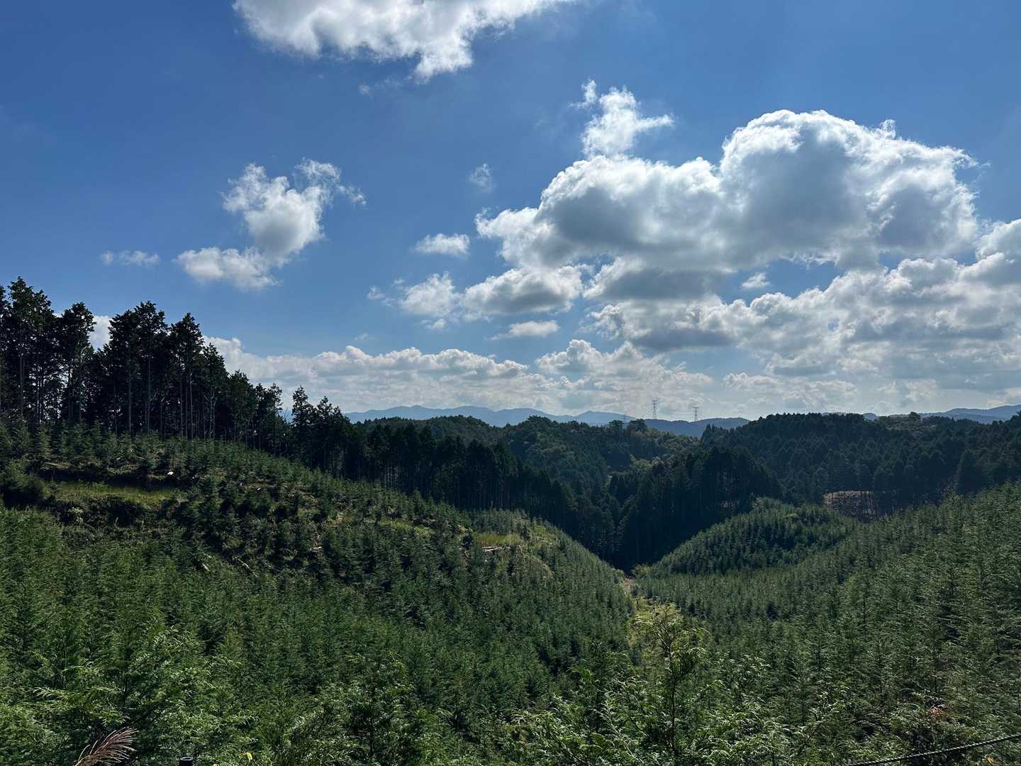 やまびこコース入口-床几の峠-小馬廃寺-駒山 往復コースの写真